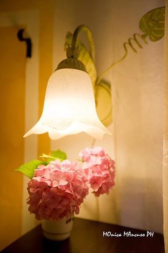 B&B La Reggia Венария-Реале Экстерьер фото